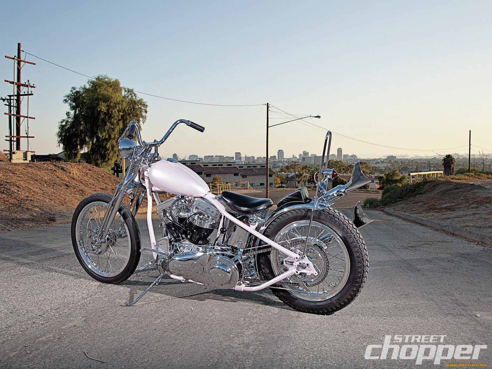 , customs, knucklehead